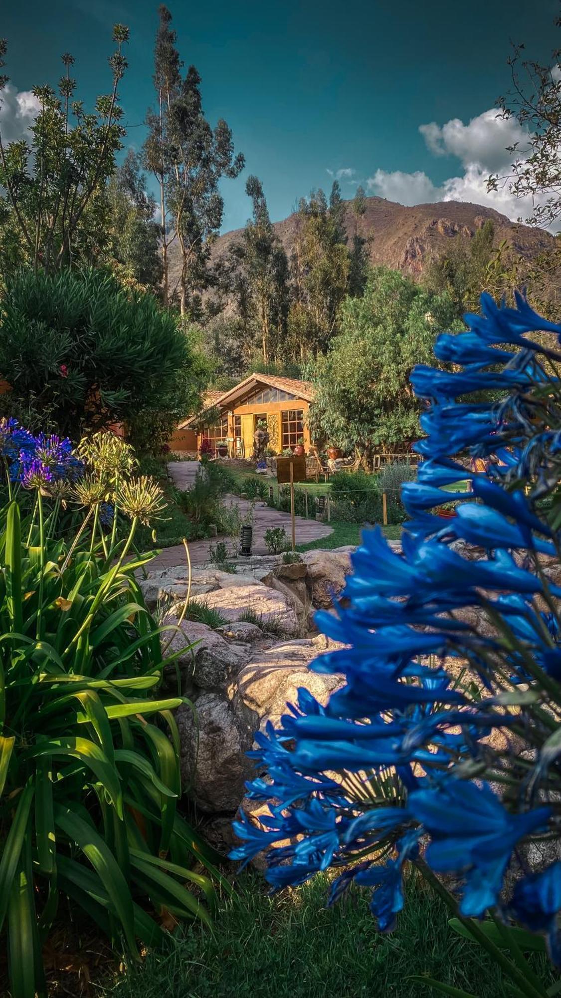 Andean Wings Valley Urubamba Eksteriør billede